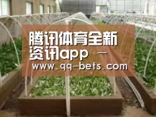 环境展示五