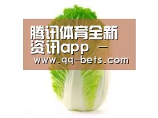 产品名称一