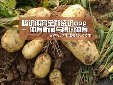 种植基地六