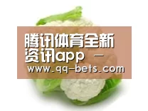 产品名称九