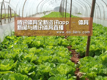 种植基地五