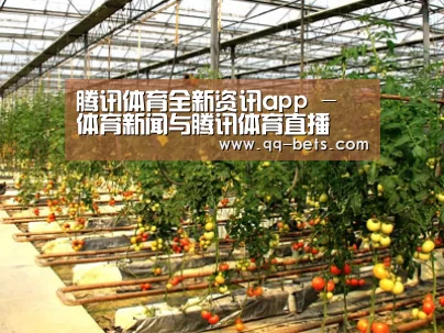 种植基地二