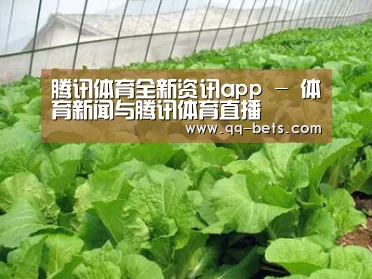 种植基地一