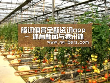 种植基地二(图1)