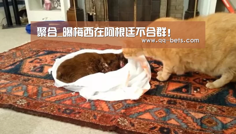 聚合_曝梅西在阿根廷不合群!(图3) 网球
