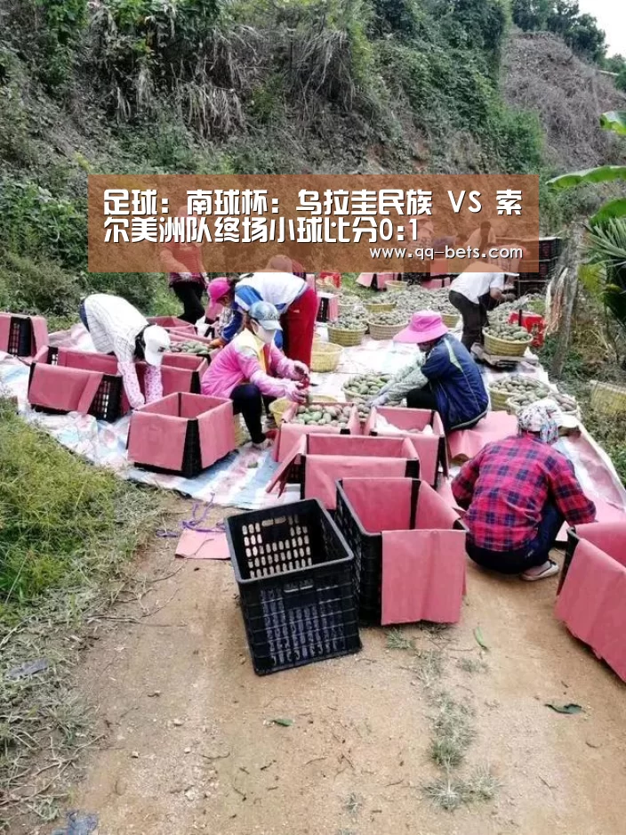 篮球